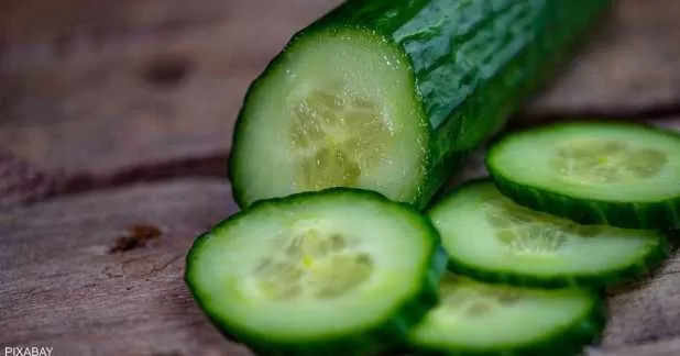 تحذير: إذا شممت رائحة الخيار في منزلك في وقت لا يكون أحد يأكله أو يطبخه، فقد يكون علامة على وجود أفعى سامة في منزلك