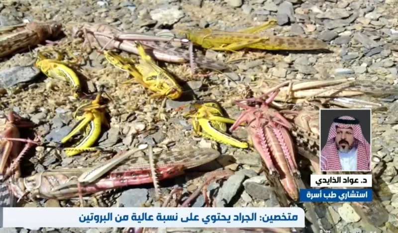 بالفيديو: صدمة بعد الكشف عن ما يحمله الجراد في السعودية ..