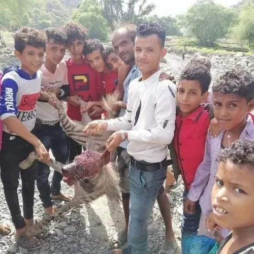 اطفال قرية يمنية يقضون على وحش كاسر بطريقة لا تصدق .. تفاصيل