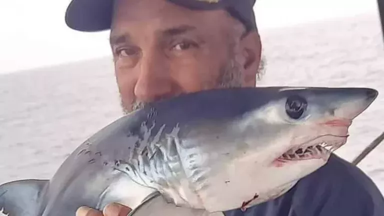 شاهد: اسماك القرش تغزو شواطئ مصر والسلطات تتدخل بقوة