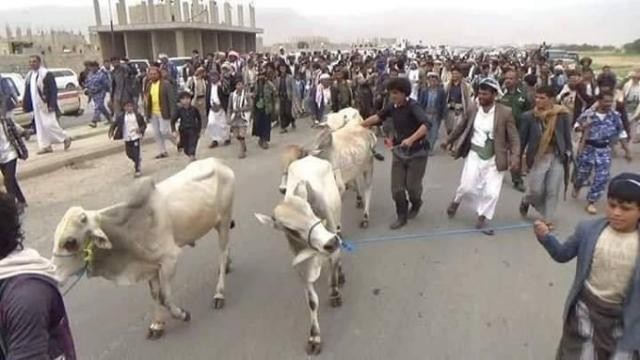 أعدموه فوق قبور من قتلهم.. شاهد تنفيذ حكم قصاص بالبيضاء لقاتل بعد إخراجه من السجن والاتفاق على التحكيم”فيديو”