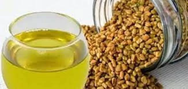 طريقة تحضير مشروب الحلبة الرهيب لتفتيت حصوات الكلى وتنظيفها من السموم خلال يومين فقط