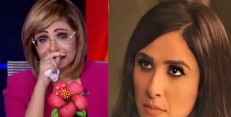 لميس الحديدي تنشر خبر صادم عن ياسمين عبد العزيز وتكشف المستور الذي حاولت عائلتها ان تخفيه للحفاظ على سمعتها