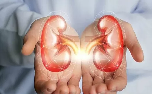 الطرق الصحية للحفاظ على صحة الكُلى