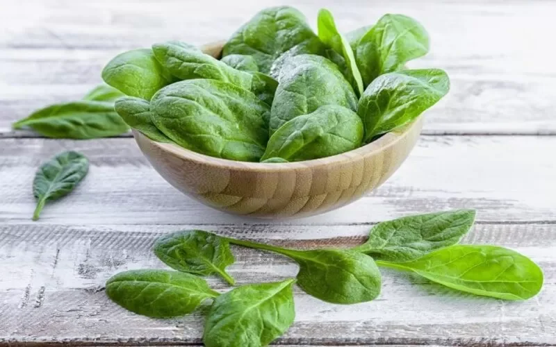 رحمة من الله .. هذه العشبة كنز لكل من يعاني من مشاكل القولون تخلصك منها وتنظف القولون وتطهره خلال ساعات