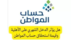 أنواع مصادر الدخل .. التي تؤثر على الأهلية في حساب المواطن