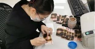 بسبب مخاوف كورونا.. سيدة تضع أموالها في الميكروويف لتعقيمها.. والنتيجة كارثة