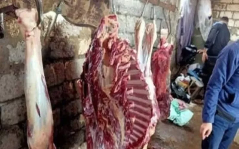 مصريون يشترون لحما بـ 160 جنيها فقط .. وعند فحصه كانت المفاجأة!