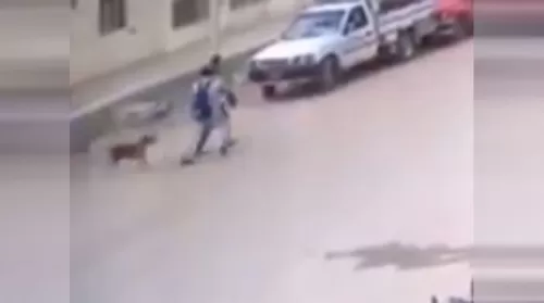 فيديو مروع من مصر للحظة دهس طفل تحت عجلات سيارة اثناء هروبه من كلب مسعور