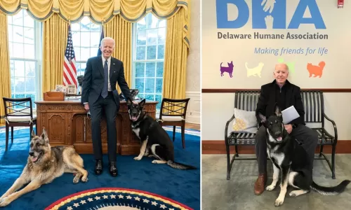 قرار صادم لبايدن من مسؤولين كبار في البيت الأبيض