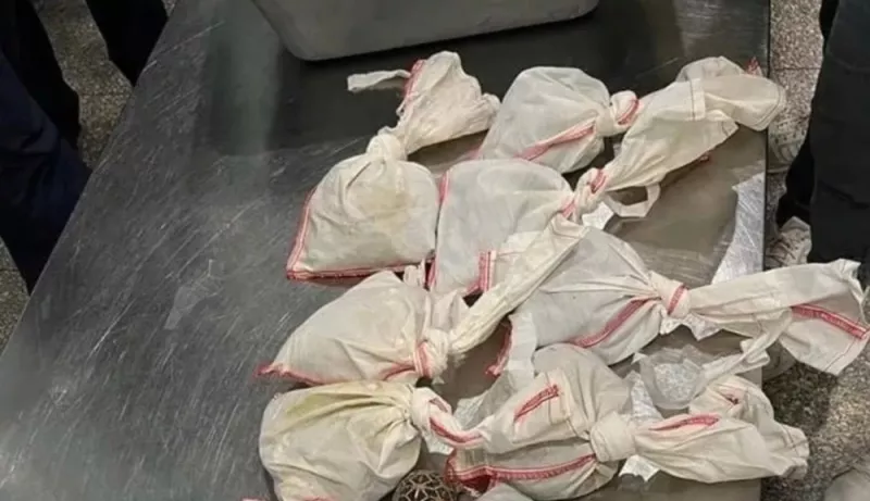 فوجئوا بأكياس ملفوفة برباط..شاهد: واقعة تهريب غريبة لراكب مصري قادم من الخارج عبر مطار القاهرة