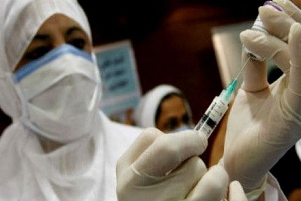 معلومات صادمة عن كورونا.. خفاش حدوة الحصان والحل عند حيوان اللاما