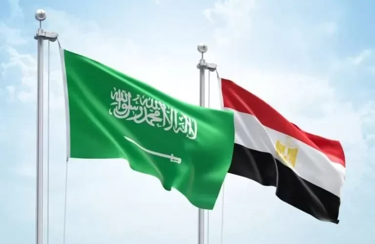أكبر 6 شركات مصرية يستحوذ عليها الصندوق السيادي السعودي