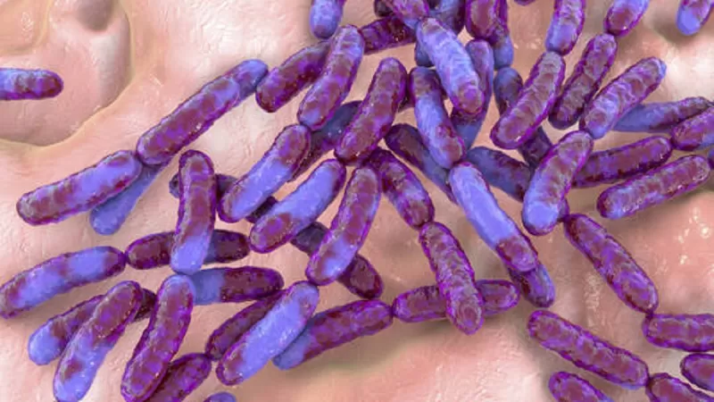 اطباء ينصحون بتناول هذه الاطعمة لحماية نفسك من التأثيرات القاتلة للسكري على جهازك العصبي والوقاية من السكتة الدماغية