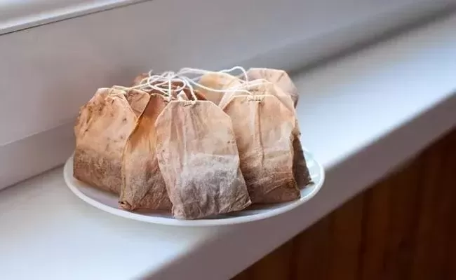 فوائد لن تتوقعها لأكياس الشاي المستعملة.. تعرف عليها بالتفصيل