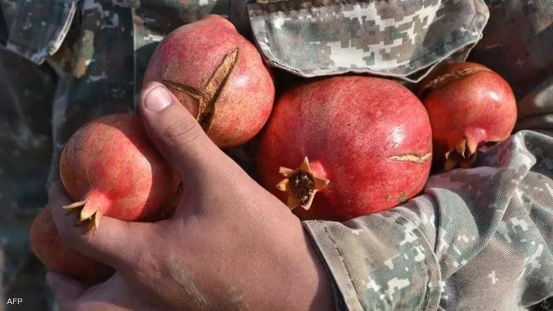 المشروب الرهيب القاهر لمرض السكري رخيص الثمن ومفعولة يظهر خلال دقائق