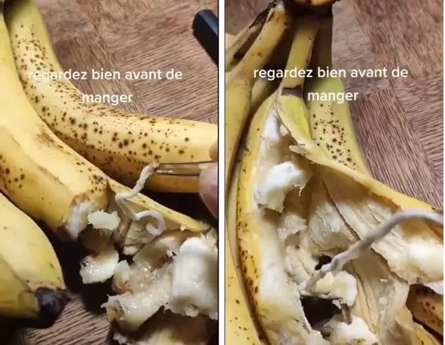 كيف يقتلك الموز خلال اقل من اثنا عشر ساعة فقط؟