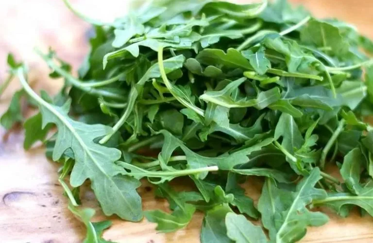 لهذه الأسباب كان اباؤنا لا يتخلون عن تناول الجرجير باللبن !