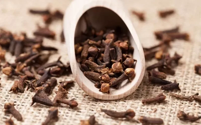 هذا هو سر القرنفل الذي يجعله مع القهوة افضل صبغة للشعر تدوم وتعطيك لون ساحر