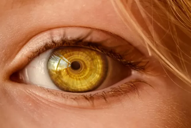 احذر .. هذه الوجبة الشعبية تسبب العمى النهائي