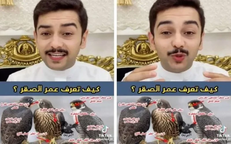 بالفيديو: خبير صقور سعودي يكشف عن طريقة بسيطة تستطيع منها معرفة عمر أي  صقر