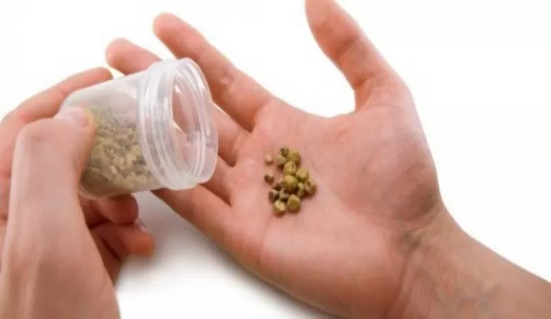 منقوع هذه العشبة الرهيبة يفتت حصوات الكلى ويخلصك من الأملاح فيها ويحميك من سرطان البروستاتا