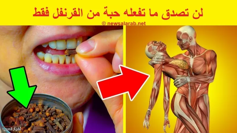 فوائد عظيمة لعضلة القلب بمسمار واحد فقط من القرنفل كل صباح