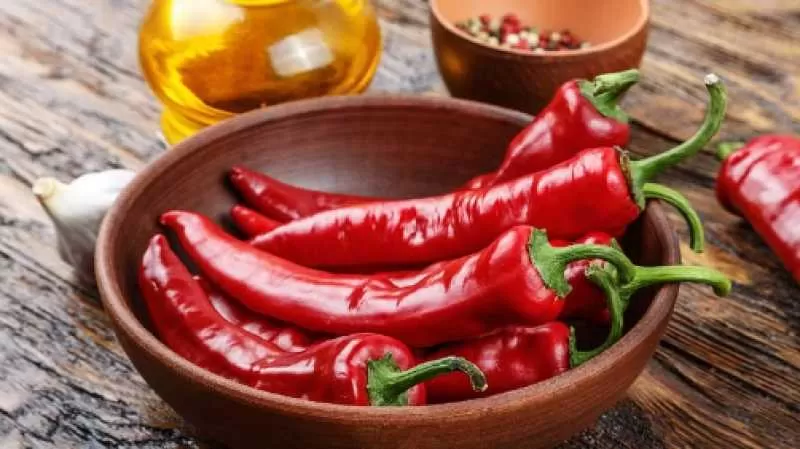 يقلّل نسبة الموت المبكر ويخفض الضغط والكوليسترول والسكر.. بروفيسور سعودي يعدد فوائد”الفلفل الحار”