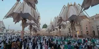 السعودية تنشر فيديو صادم عن ما يحدث في المسجد النبوي في المدينة المنورة .