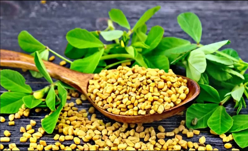 هذا البهار الشهير كنز رباني يفتت حصوات الكلى وينظف الحالب و ينهي الآم المعدة والمفاصل.. تعرف عليه