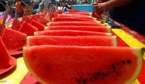 نصائح هامة عند شراء البطيخ والفواكه الصيفية
