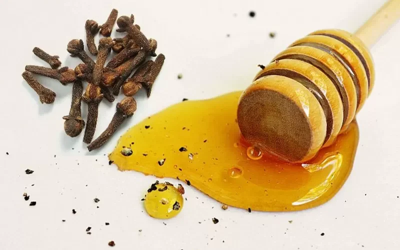 تأثيرها جبار اثناء الجماع .. عشبة مهملة برخص التراب تتواجد في كل منزل ويبحث عنها المتزوجين بغرفة النوم تغنيك عن الفياجرا نهائياً