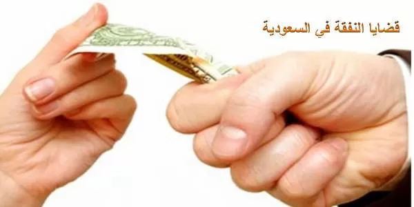 سعودي يهرب من دفع النفقة لزوجته لتفاجئه بعد 3 سنوات بما لا يخطر على بال بشر