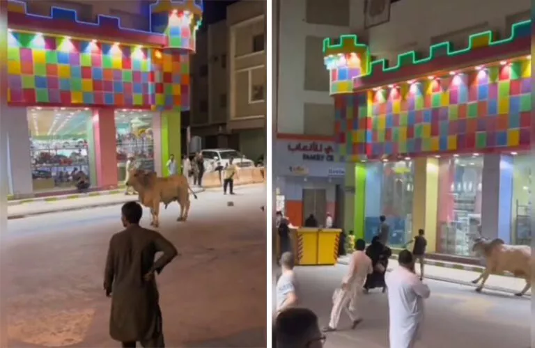 بالفيديو:  لحظة هروب ثور هائج  ومهاجمته للمارة في احد شوارع السعودية