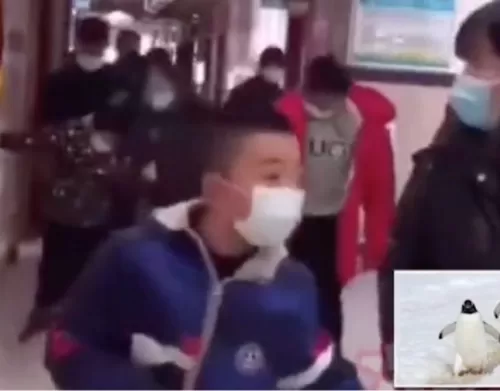 فيديو.. أشخاص يسيرون كالبطريق بعد إجرائهم المسحة الشرجية.. والصين تكشف الحقيقة