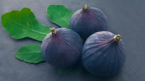 الفاكهة السحرية لعلاج الامساك والبواسير .. تعرف عليها