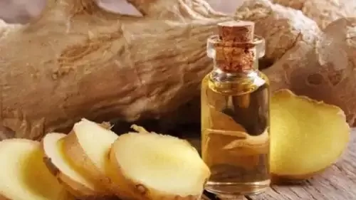 لن تصدق مايحدث لجسمك عند تناول زيت الزيتون مع الزنجبيل