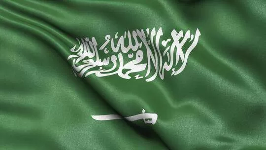 السجن والترحيل لكل مقيم يتصفح هذه المواقع في السعودية حتى بدون قصد