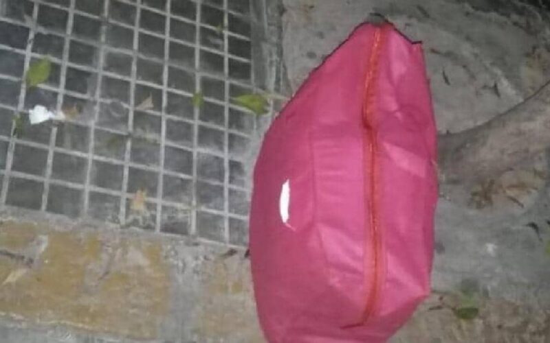 حقيبة زهرية تثير هلع بيروت.. ما علاقتها بانفجار المرفأ؟