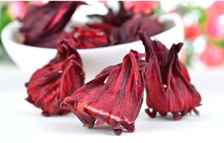 طول عمرنا نعمل مشروب الكركديه غلط وهذه هي الطريقة الأصلية لعمل الذ مشروب كركديه !