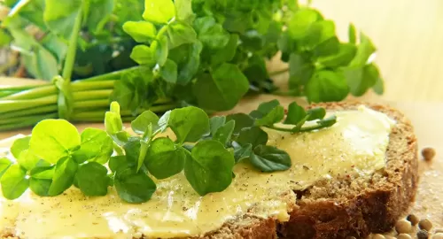 حقيقة دور الجرجير في زيادة هرمون الذكورة