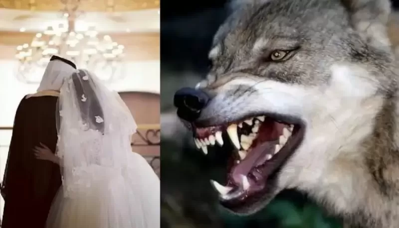 شاب سعودي يفعل بعروسته في ليلة دخلتهم ما لم يخطر ببال اكبر الشياطين