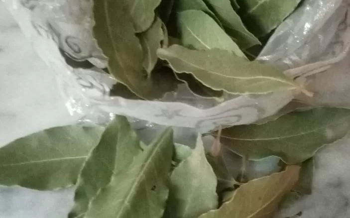 شاهد بنفسك ما سيحدث عندما تحرق ورقتين من ورق الغار في منزلك كل يوم