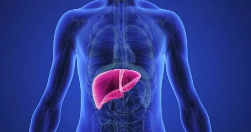 اطباء مختصون ينصحون بتناول هذه المشروبات لتنظيف الكبد من السموم!