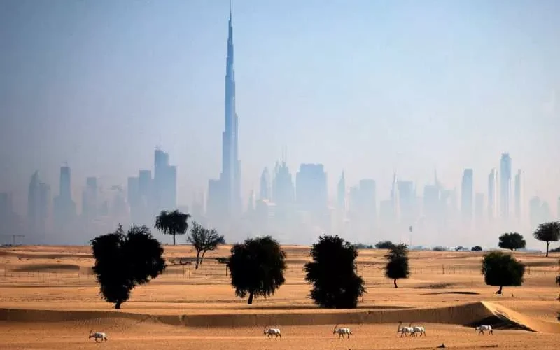 كرة نارية قوية تضيء سماء الإمارات.. ومركز الفلك الدولي يكشف تفاصيلها (صور)