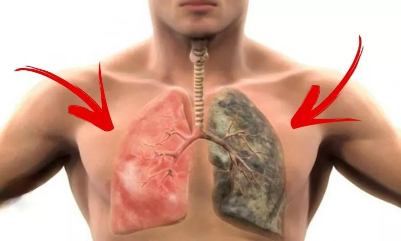 هذا الطعام سيخلصك من سموم التدخين وينظف رئتيك ..