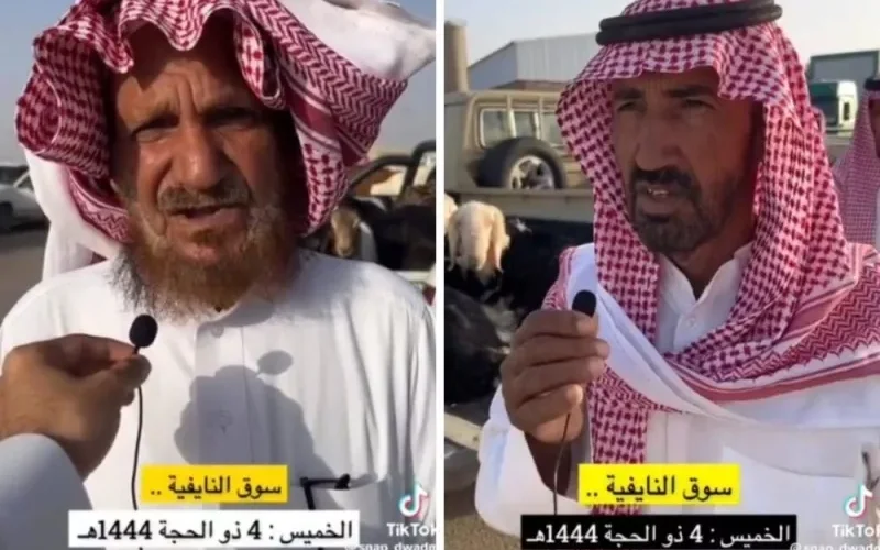 الأغنام الطيبة غالية”.. تجار سعوديون يكشفون عن أسعار الأضاحي في سوق النايفية بالدوادمي.. فيديو