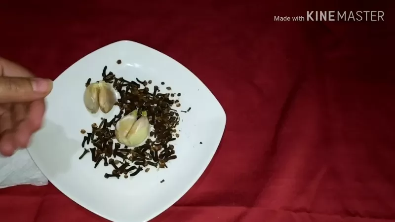 شاهد بالفيديو المعجزة التي ستحصل عند وضع خلطة القرنفل مع الثوم على هذا الجزء من جسم المرأة
