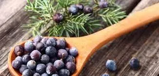 هذه العشبة معجزة ربانية وهدية من الخالق  تعالج التهاب الجلد والرئة والعظام وتعزز صحة الجهاز الهضمي وتقلل مستويات السكر والكوليسترول والدهون الثلاثية في الدم.. تعرف عليها