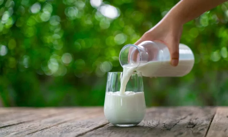 ليس الحليب لكنه طعام خارق يحميك من هشاشة العظام ويعوض نقص الكالسيوم في جسمك